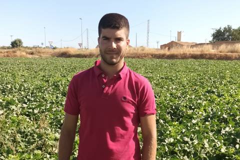 Alejandro Meroño en una de las fincas cuya producción supervisa.